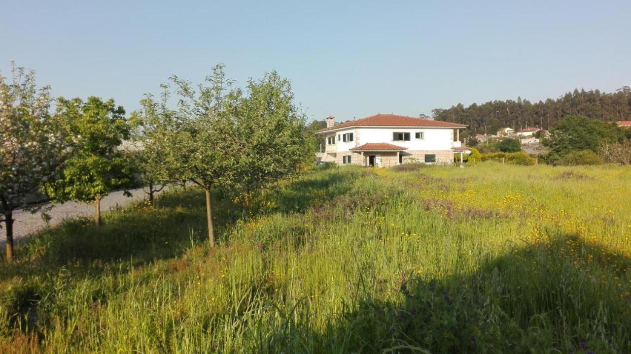 Gondifelos Casa Do Senhor Da Ponte 빌라 외부 사진
